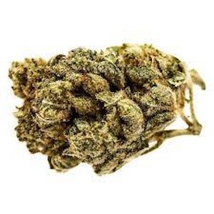 Sensi Brands Ltd. - Banana Cream 7g Dried Flower - Potluck