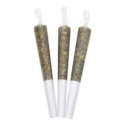 BC BLACK - MASTER KUSH ULTRA PRE-ROLLS 3X.5G Main Image