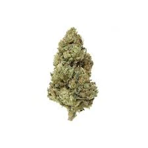 San Rafael '71 - STONEFRUIT SUNSET