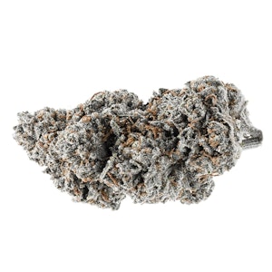 TENZO - IC SANDWICHES - 3.5