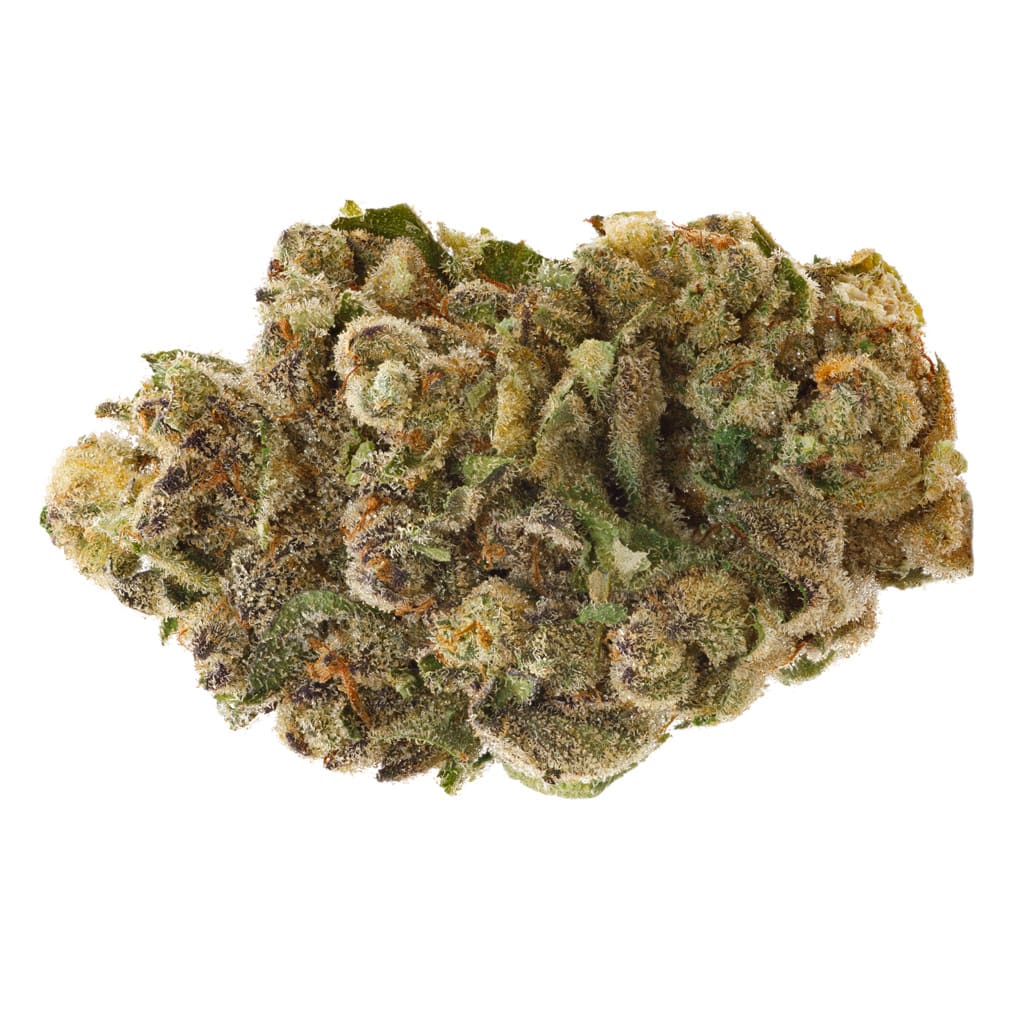 Black Jelly 14g Dried Flower