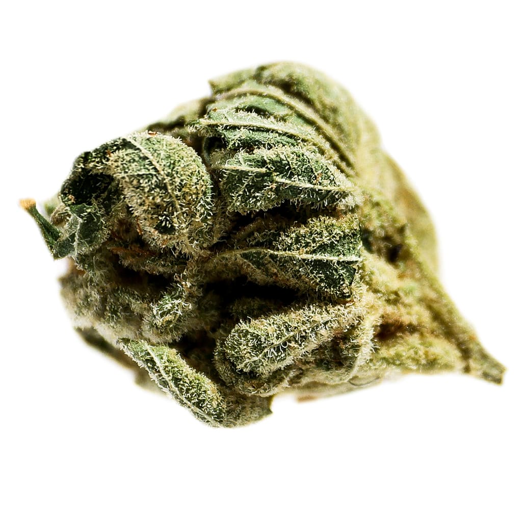 Pineapple Express 7g Dried Flower