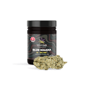 Blue Iguana 1G