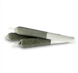 Pistol and Paris - Blackberry Breath - 0.5G x 3