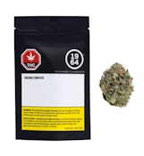 Organic Comatose 3.5G