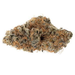 OGEN - dosi-GMOsi #13