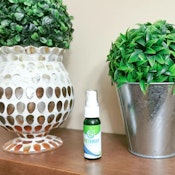 PotAway Personal Air Purifyer