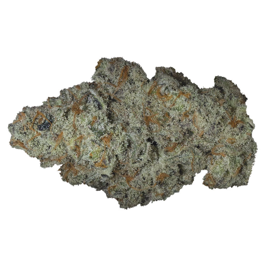 Full Sesh - Bamboo Honey 3.5g Dried Flower Main Image