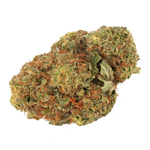 Daily Special - Daily Special - Daily Special Indica