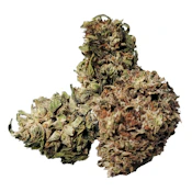 Panakeia Pure CBG Flower 3.5g Dried Flower