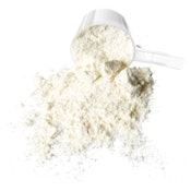 Vanilla Cream CBD Whey Protein Isolate - Beverages 300g