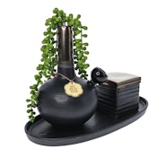 My Bud Vase - Deangelo