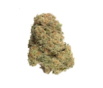 28G BANDWAGON INDICA