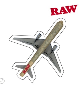 RAW - Sticker - Plane