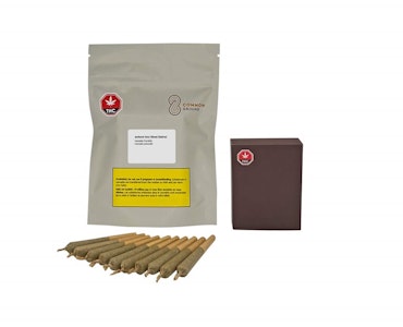 Common Ground - Jelly Doughnutz