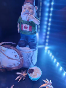 BackRoots - Fire Starter - Back Roots