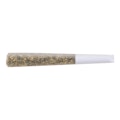 GOLD SEAL HASH SNAKE INFUSED PRE-ROLL 0.5g Hash and Kief