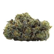 PANORAMA - Cousin Larry OG - Indica - 14g