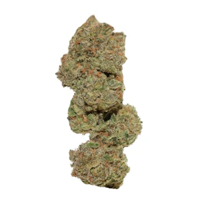 EVIDENCE - Bag Rntz 1g