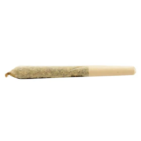 APPLE SPICE RESIN INFUSED PRE ROLLS - 1.5