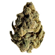 Candy Cane Kush 7g Dried Flower