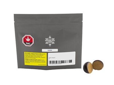 Tremblant Cannabis - Hashish 2G