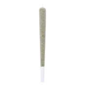 SUPERCHARGED JOINT - 2