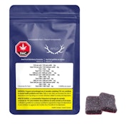 Wyld - Real Fruit Elderberry (2pc)