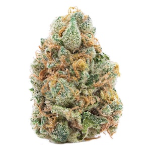 Spinach - GMO Cookies 7g Dried Flower