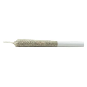 ROLL'N GOLD - THC INFUSED PRE-ROLL 1x0.5g Isolates