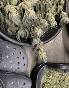 Craig's Croc Kush