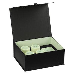 Qwest - Collective Variety Pack- Qwest 8g