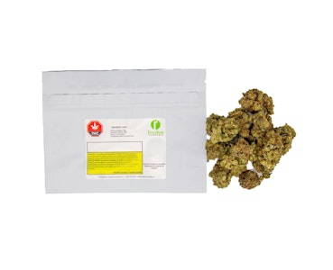 Popcorn Cannabis - Rotating Strain Indica 7g