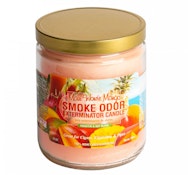 Smoke Odor Maui Wowie Mango 130z Candle