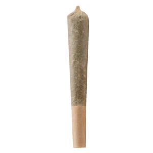 Versus - BC God Bud Pre-Roll- Versus 7x0.5g