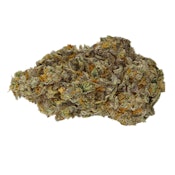 Qwest - TKO - Hybrid - 14g