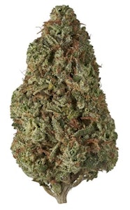 Tribal - Cuban Linx | 3.5g