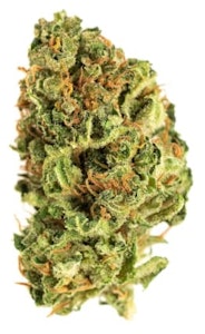 Good Supply - Jean Guy | 28g