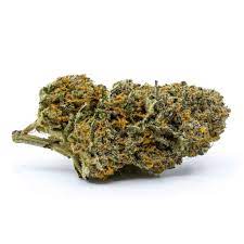 1G WAPPA