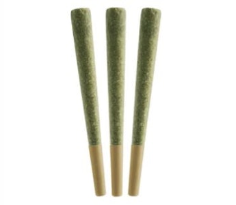 All Nations - Sto:lo Haze Pre-Rolls - 0.5g x 3