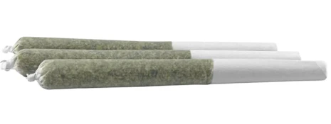 Pink Panties (Pre-rolls) - 3x0.5g