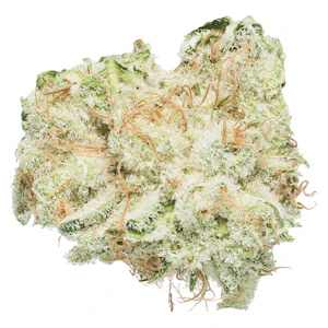 SAFARI FLOWER CO. - SAFARI FLOWER CO. - Terp N' Tine