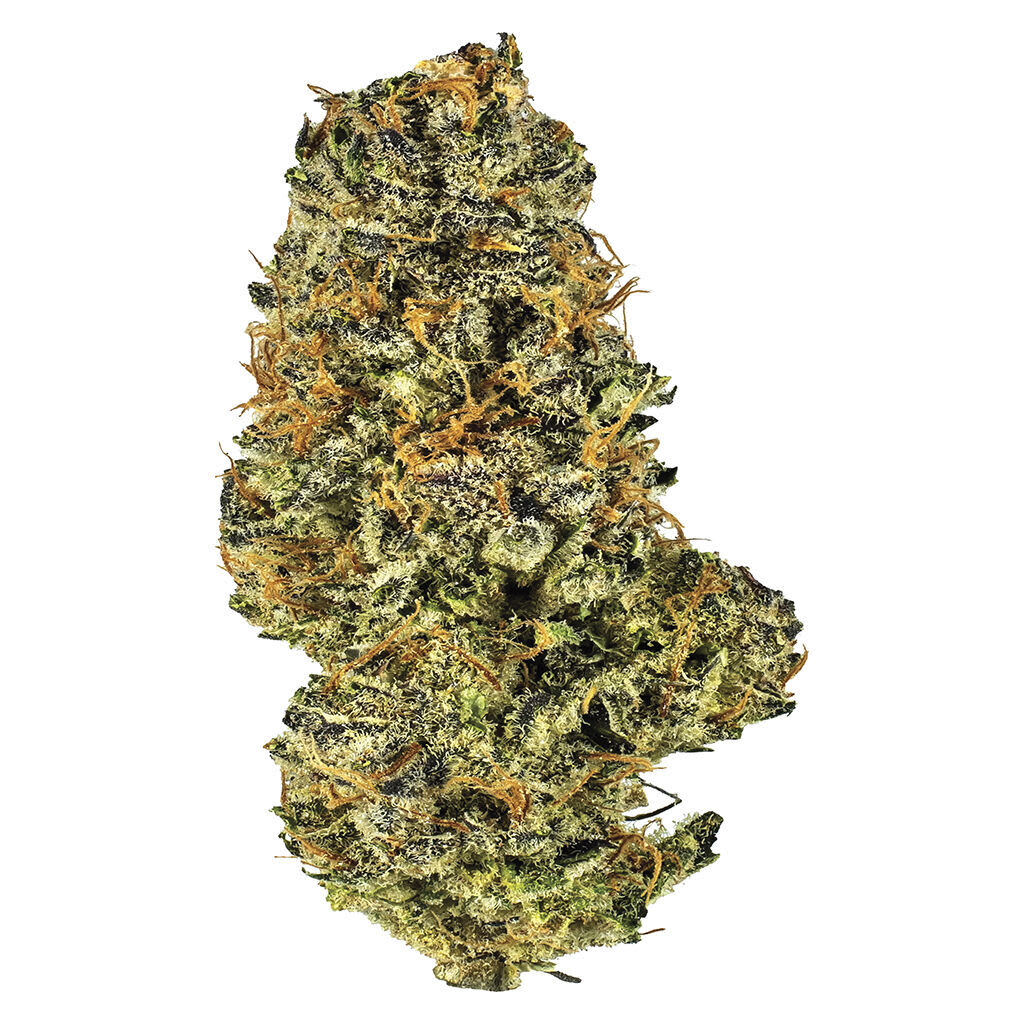 Mac and Cheese 7g Dried Flower