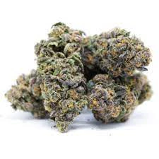BC OZ - SNOW DIESEL Main Image