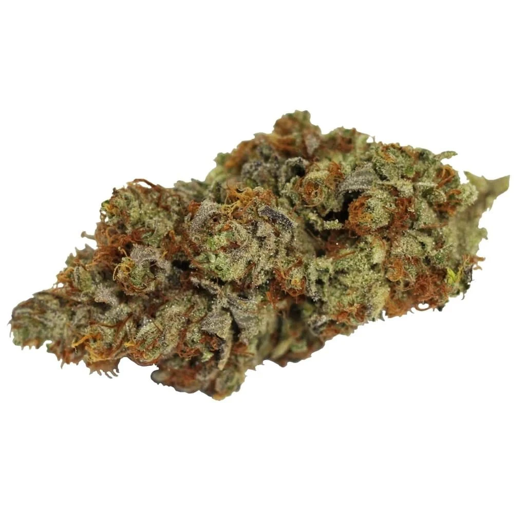 WINK - Tangerine Cookies 3.5g Dried Flower Main Image