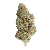 Elevator - Strawberry Dream - 28g