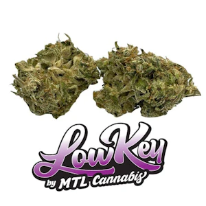 MONTREAL CANNABIS MEDICAL - AMNESIA HAZE 3.5G (LOWKEY)