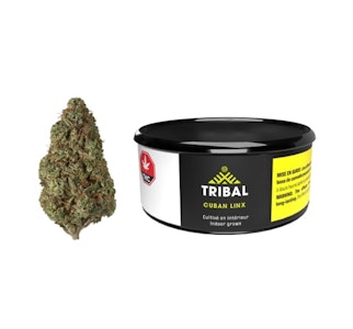 Tribal - Cuban Linx 3.5G