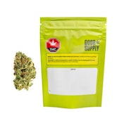 Jean Guy 28G