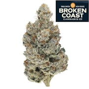 Headstash (Quadra) 3.5g Dried Flower